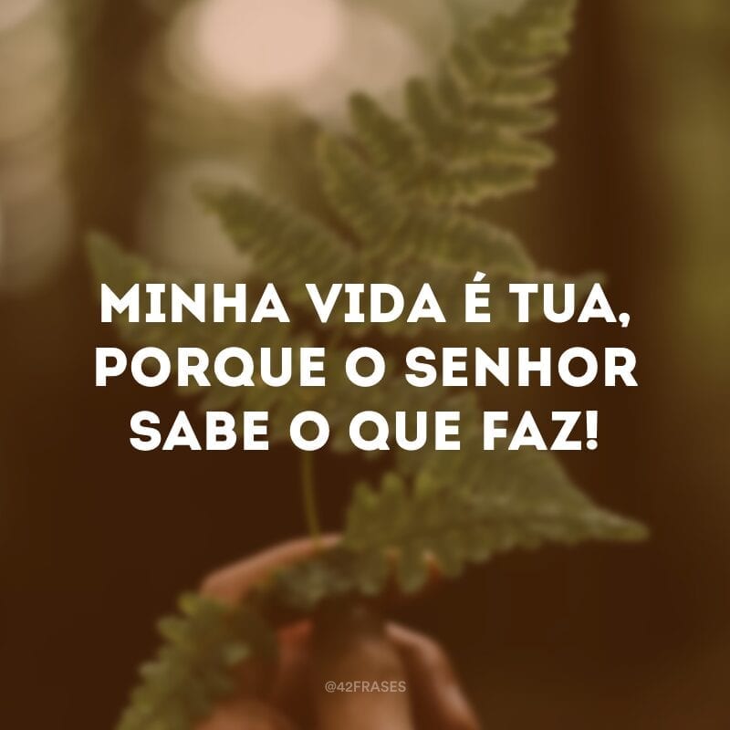 Minha vida é Tua, porque o Senhor sabe o que faz!