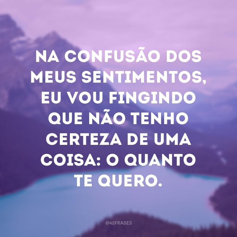 Na confusão dos meus sentimentos, eu vou fingindo que não tenho certeza de uma coisa: o quanto te quero.