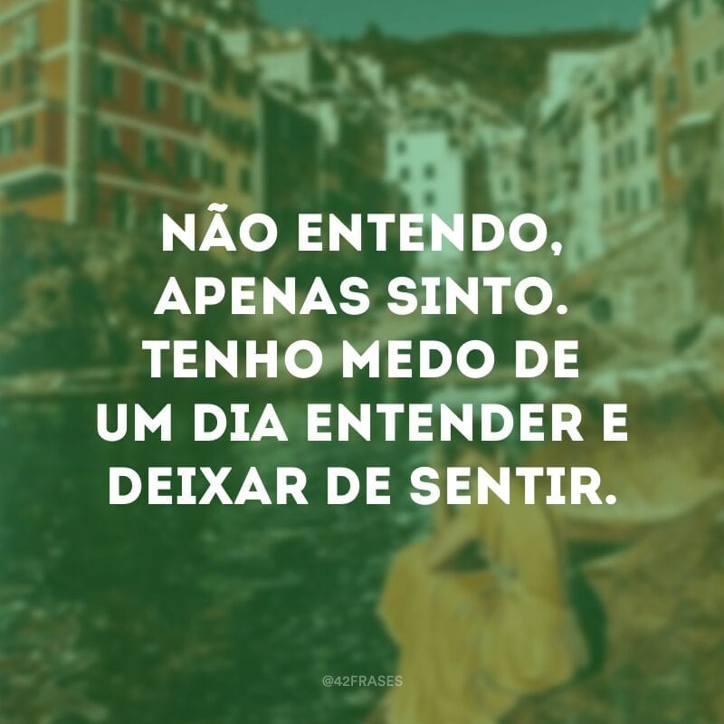 Não entendo, apenas sinto. Tenho medo de um dia entender e deixar de sentir.