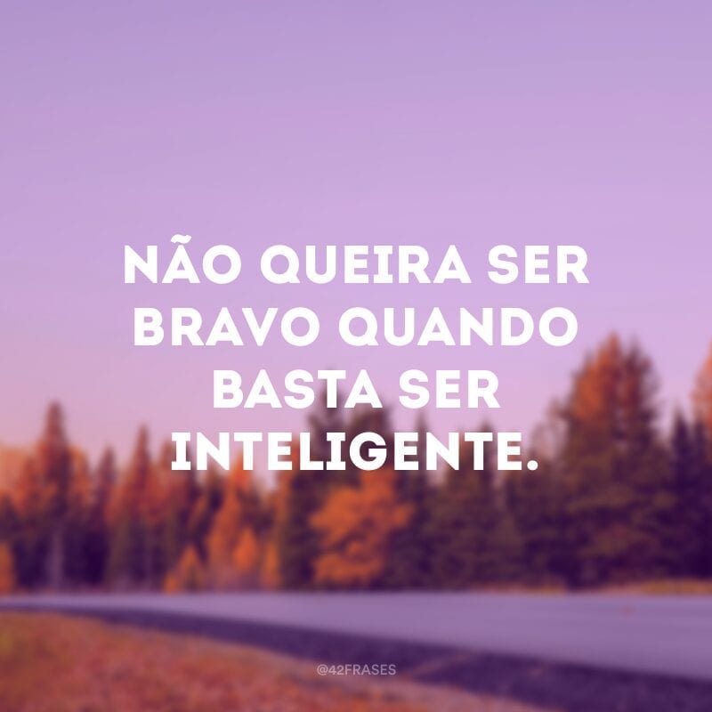 Não queira ser bravo quando basta ser inteligente.