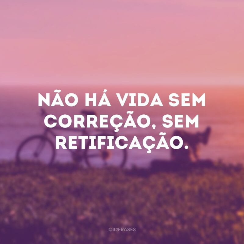 Não há vida sem correção, sem retificação.