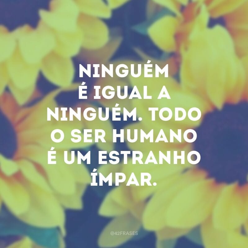 Ninguém é igual a ninguém. Todo o ser humano é um estranho ímpar.