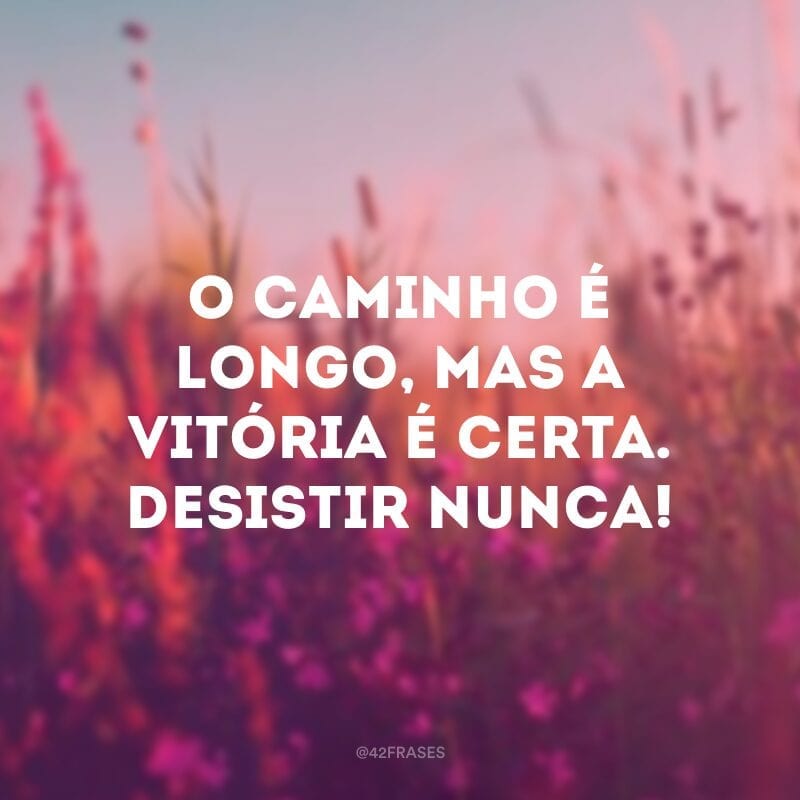 O caminho é longo, mas a vitória é certa. Desistir nunca!