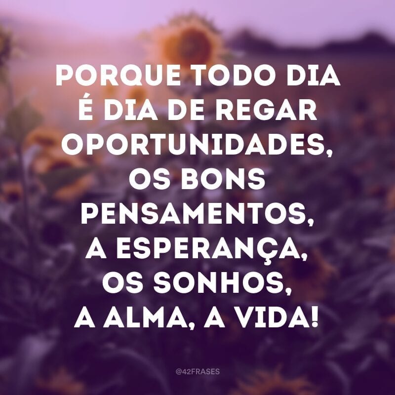 Porque todo dia é dia de regar oportunidades, os bons pensamentos, a esperança, os sonhos, a alma, a vida!