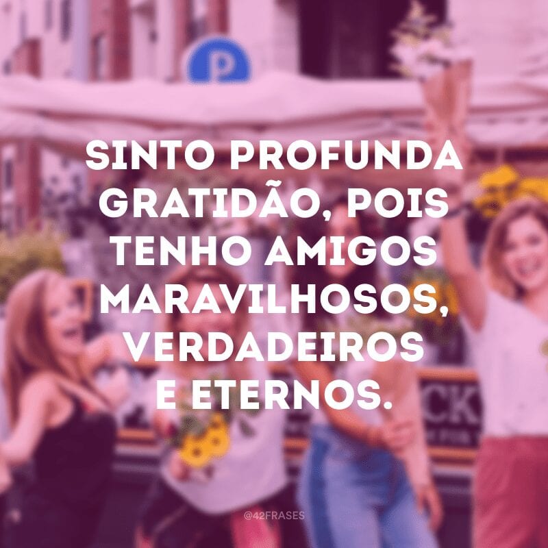 Sinto profunda gratidão, pois tenho amigos maravilhosos, verdadeiros e eternos.