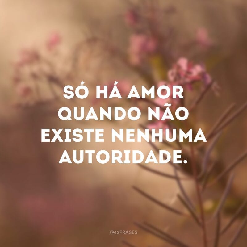 Só há amor quando não existe nenhuma autoridade.