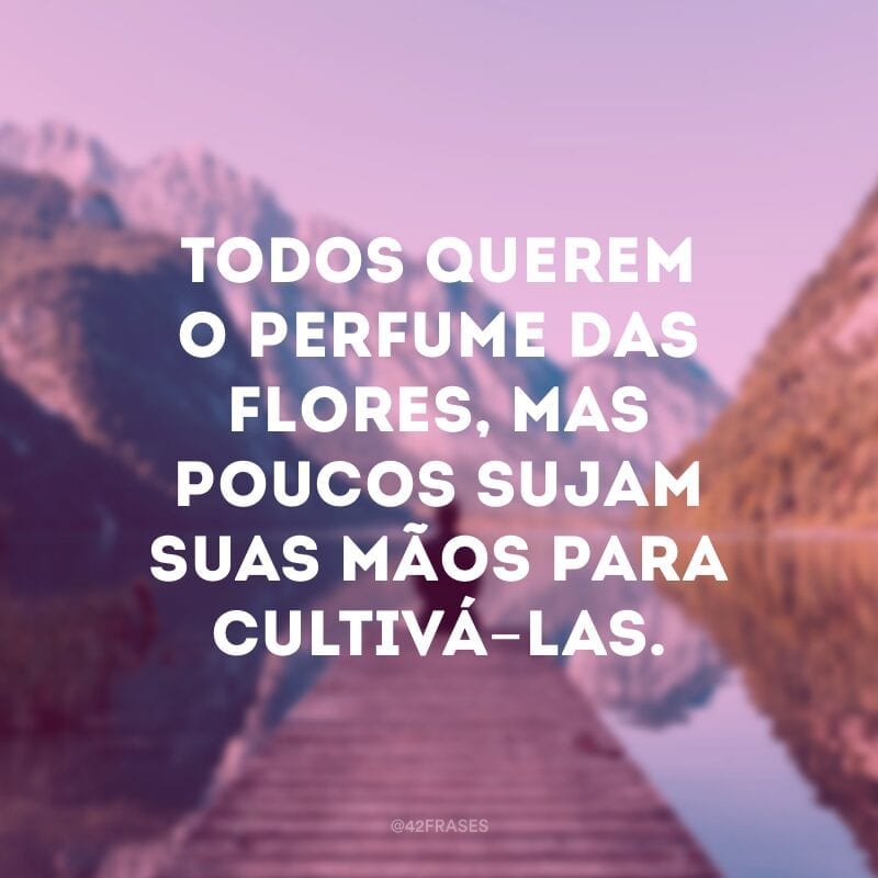 Todos querem o perfume das flores, mas poucos sujam suas mãos para cultivá-las.