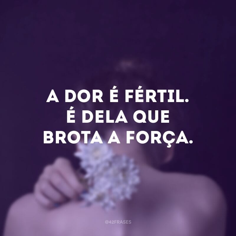 A dor é fértil. É dela que brota a força.