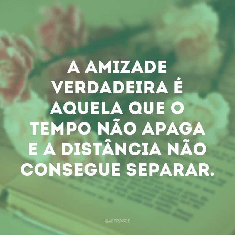 A amizade verdadeira é aquela que o tempo não apaga e a distância não consegue separar.