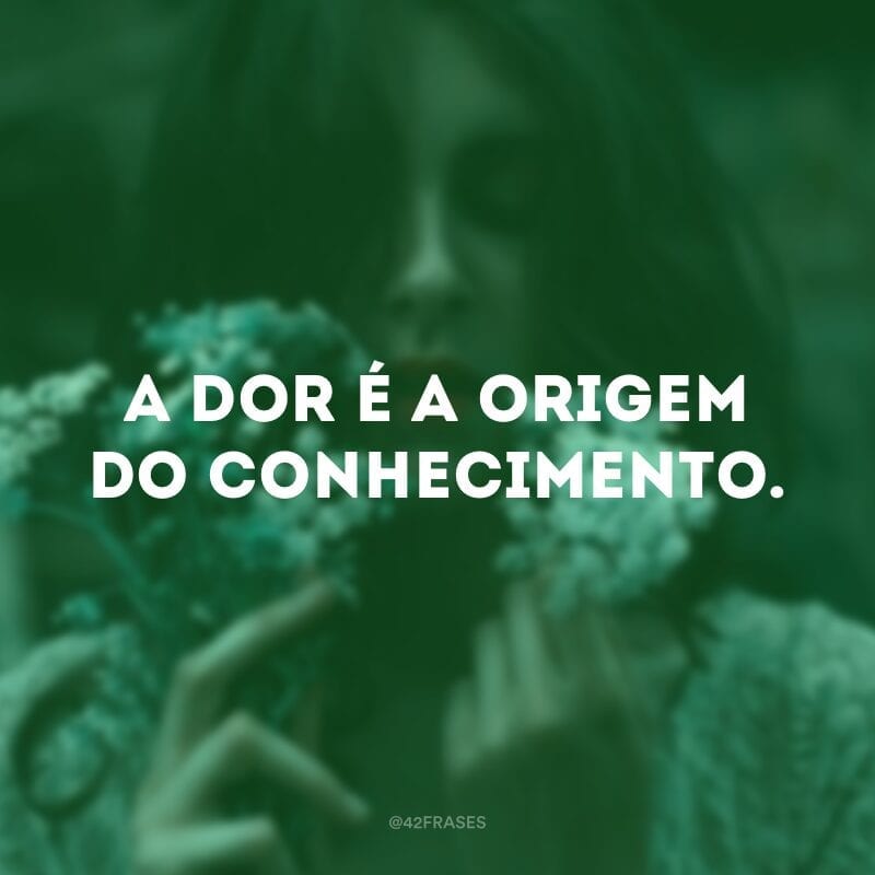 A dor é a origem do conhecimento. 