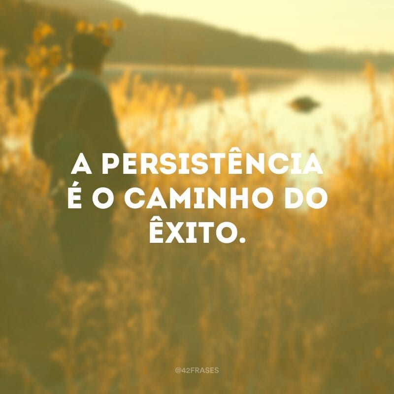 A persistência é o caminho do êxito. 