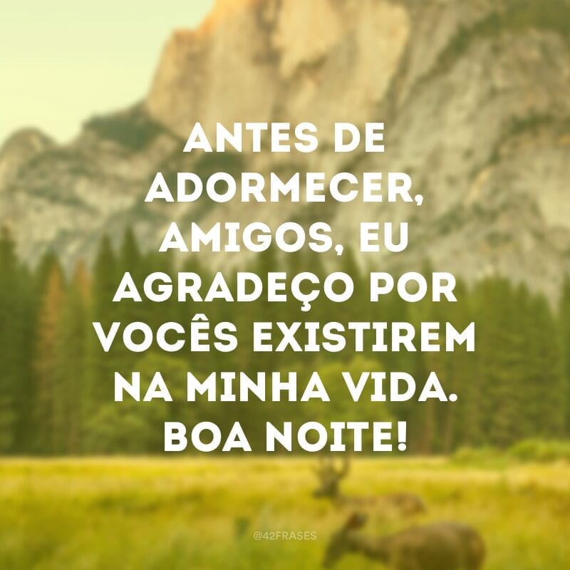 Antes de adormecer, amigos, eu agradeço por vocês existirem na minha vida. Boa noite!