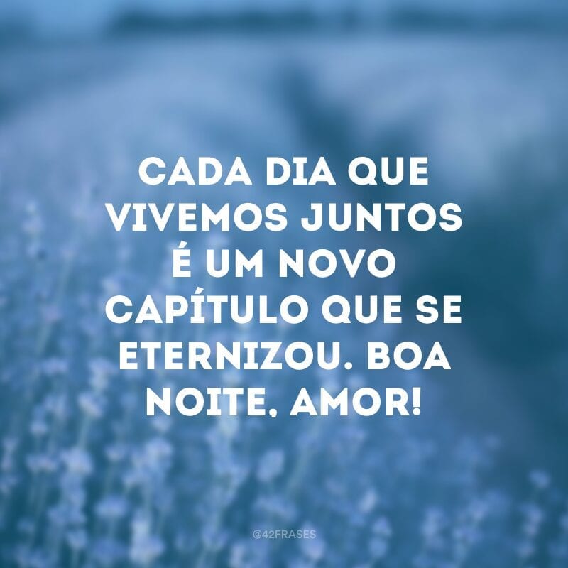 Cada dia que vivemos juntos é um novo capítulo que se eternizou. Boa noite, amor!