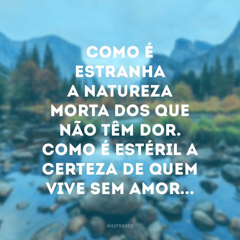 Como é estranha a natureza morta dos que não têm dor. Como é estéril a certeza de quem vive sem amor...