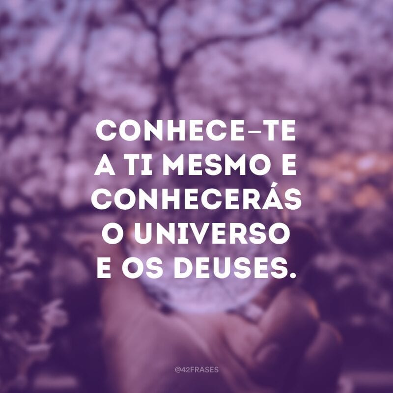 Conhece-te a ti mesmo e conhecerás o universo e os deuses.