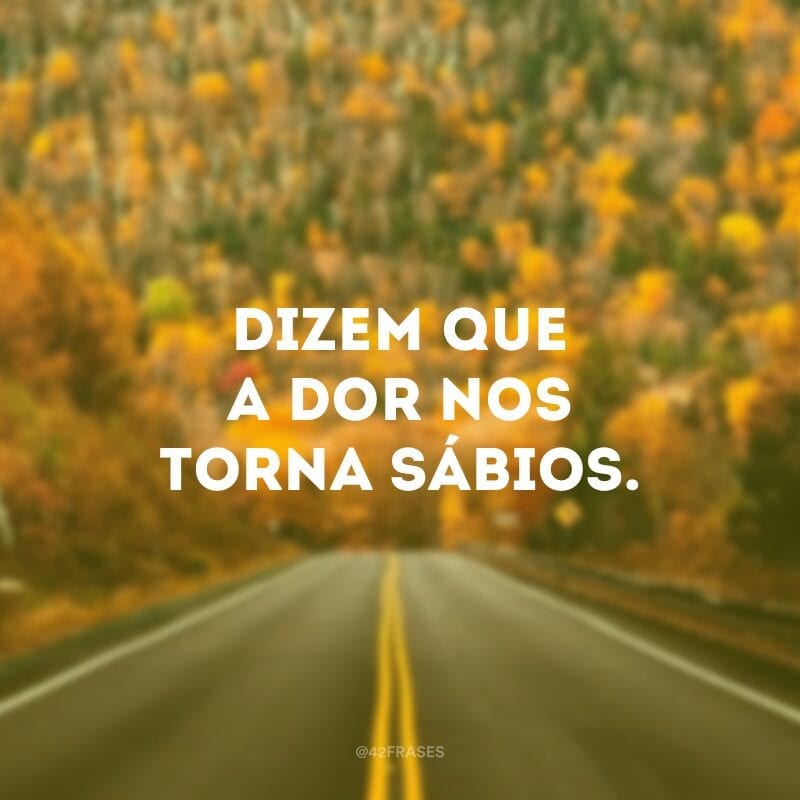 Dizem que a dor nos torna sábios.