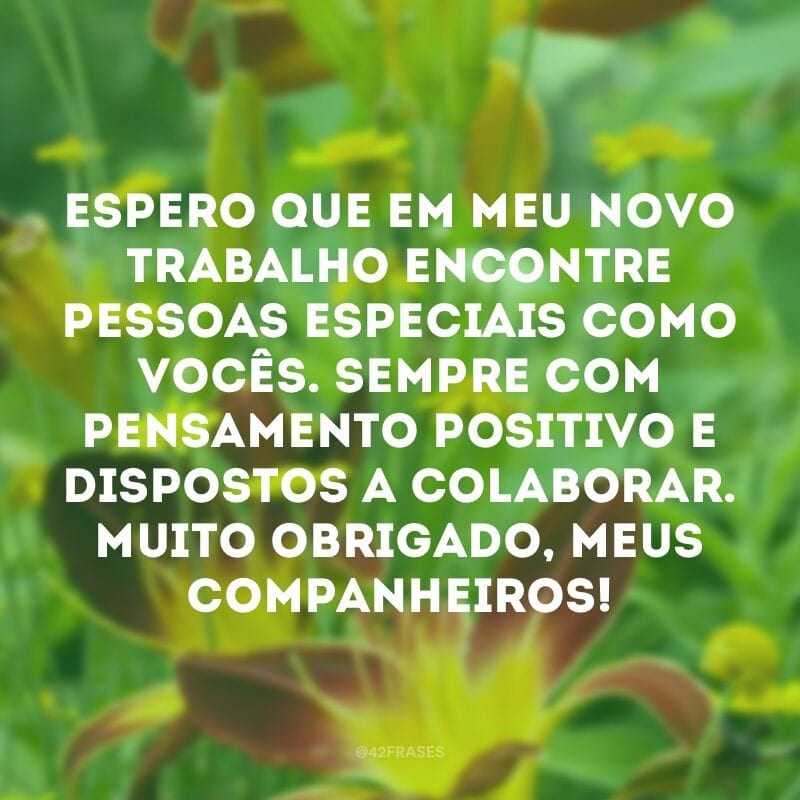 Espero que em meu novo trabalho encontre pessoas especiais como vocês. Sempre com pensamento positivo e dispostos a colaborar. Muito obrigado, meus companheiros!