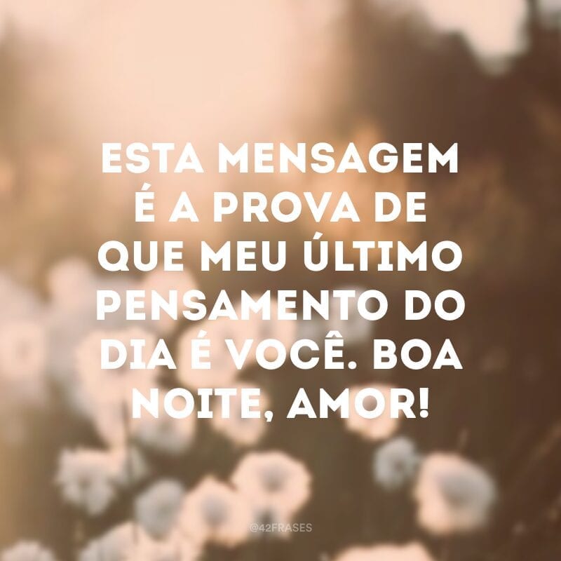 Esta mensagem é a prova de que meu último pensamento do dia é você. Boa noite, amor!