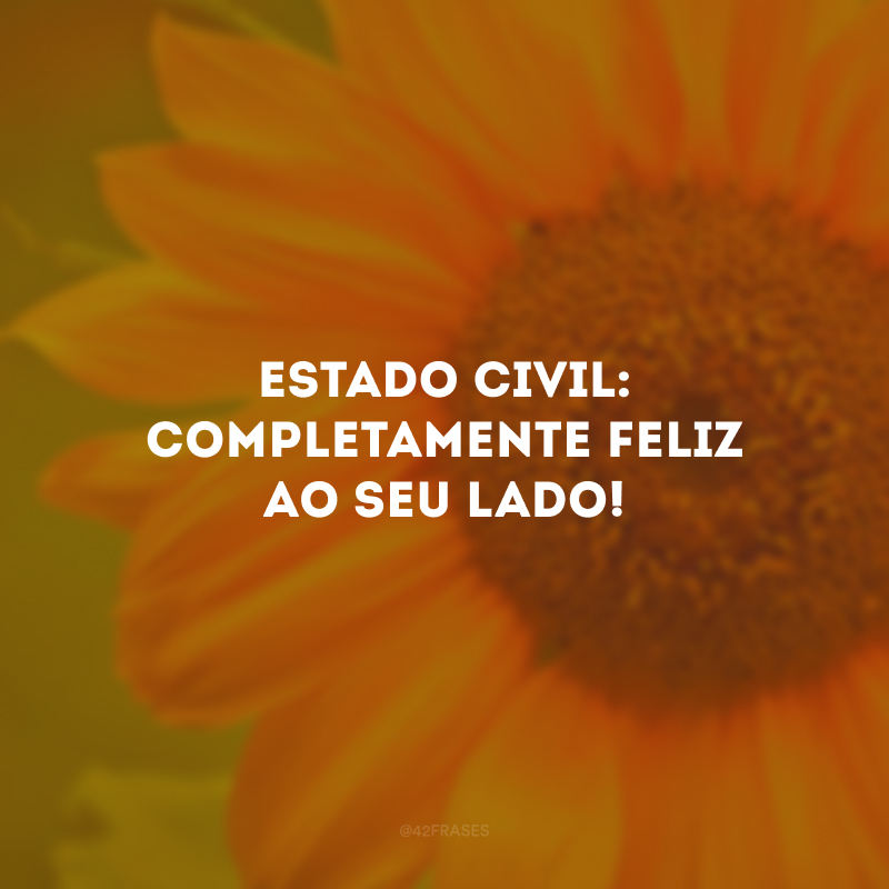 Estado civil: completamente feliz ao seu lado!