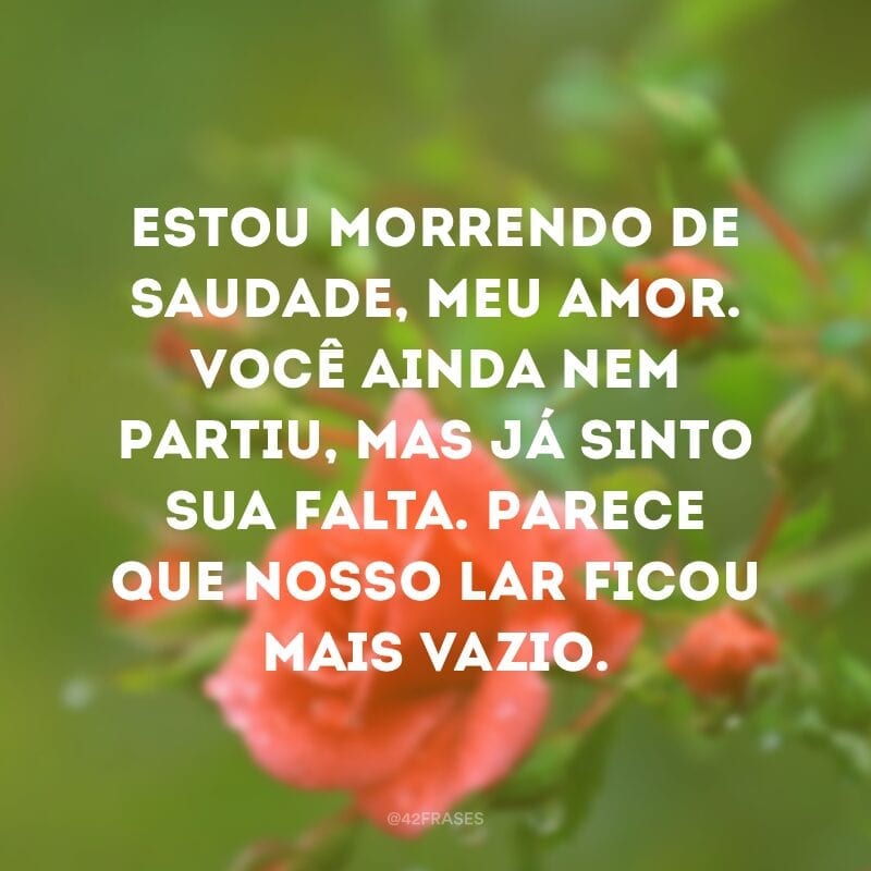 Estou morrendo de saudade, meu amor. Você ainda nem partiu, mas já sinto sua falta. Parece que nosso lar ficou mais vazio.