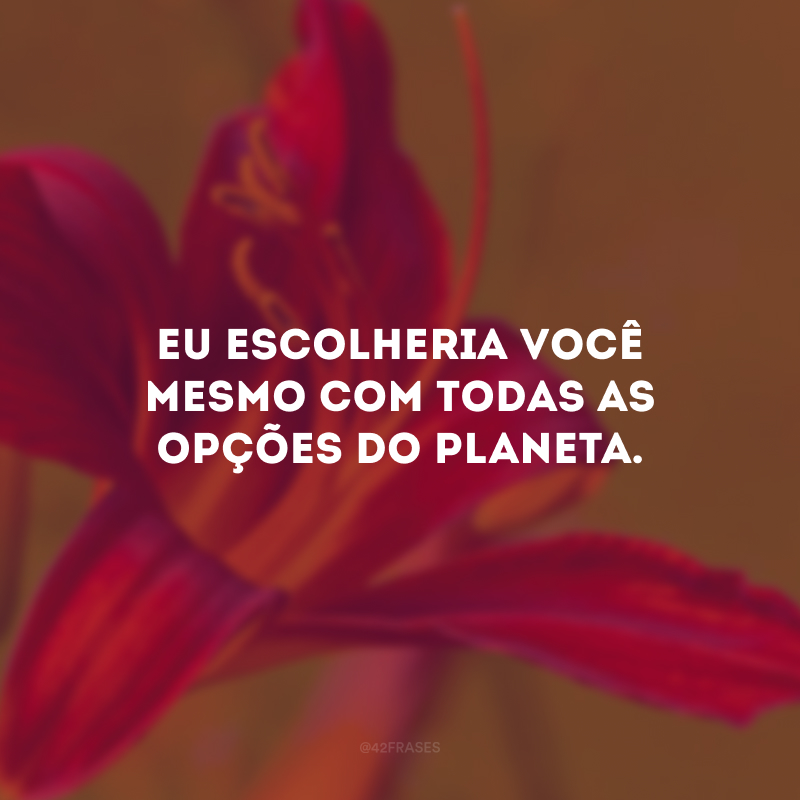 Eu escolheria você mesmo com todas as opções do planeta.