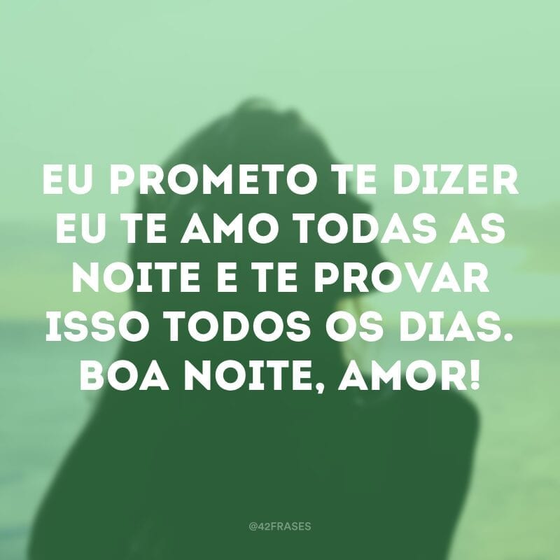 Eu prometo te dizer eu te amo todas as noite e te provar isso todos os dias. Boa noite, amor!