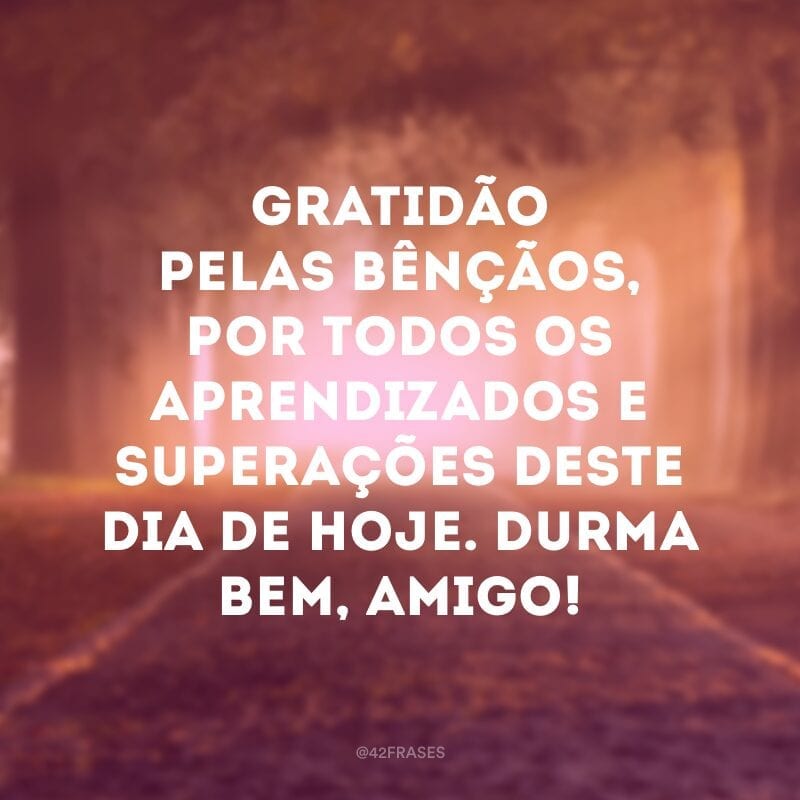 Gratidão pelas bênçãos, por todos os aprendizados e superações deste dia de hoje. Durma bem, amigo!