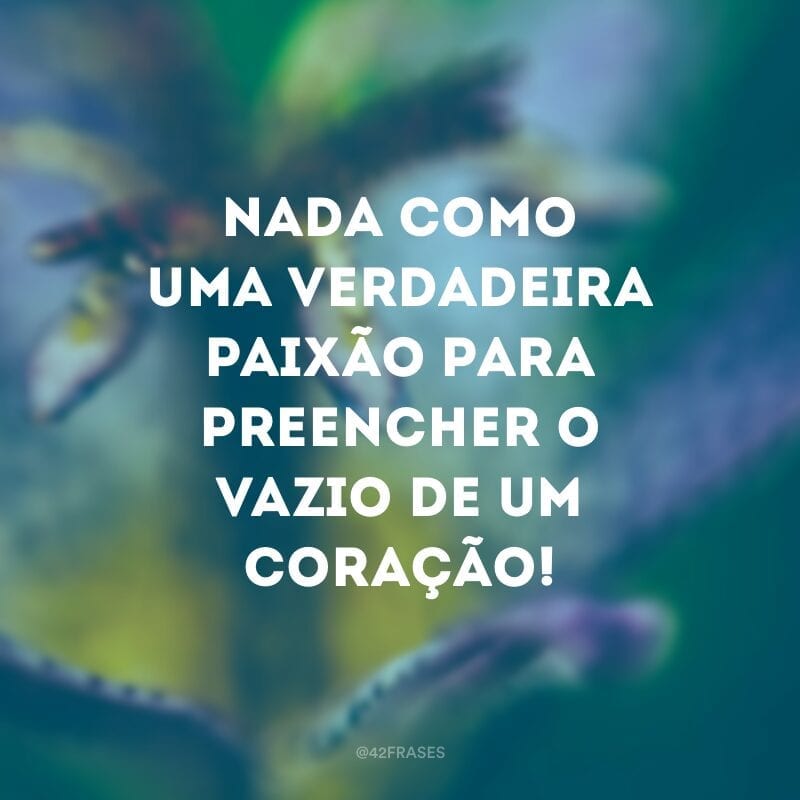 Nada como uma verdadeira paixão para preencher o vazio de um coração!