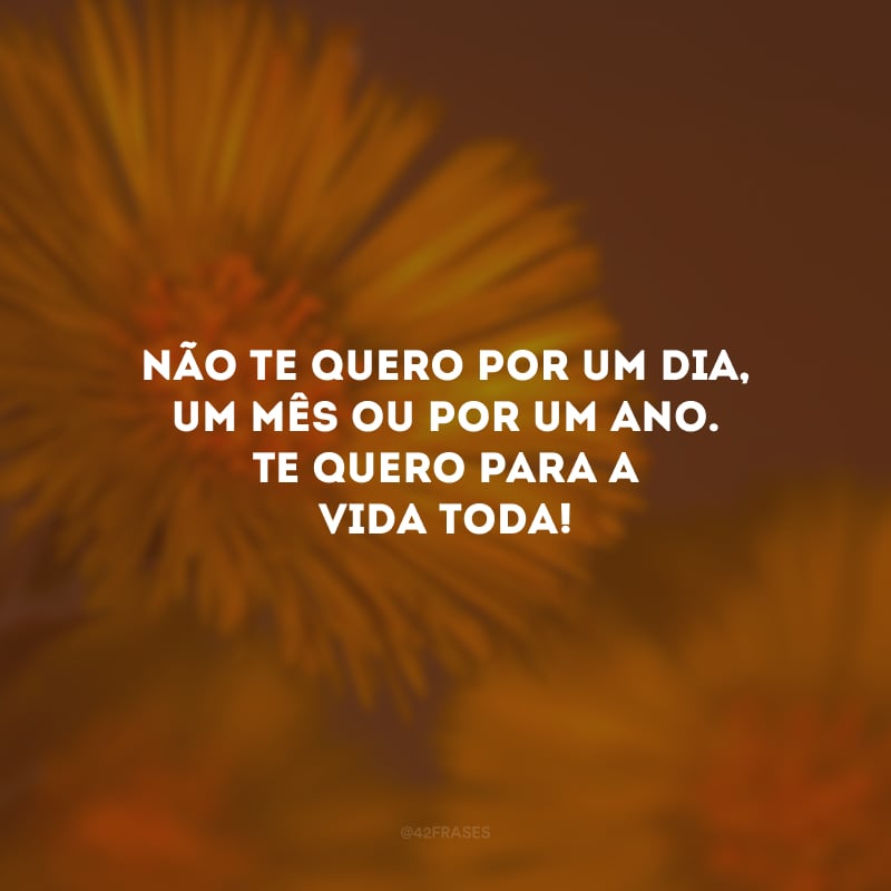 Não te quero por um dia, um mês ou por um ano. Te quero para a vida toda!