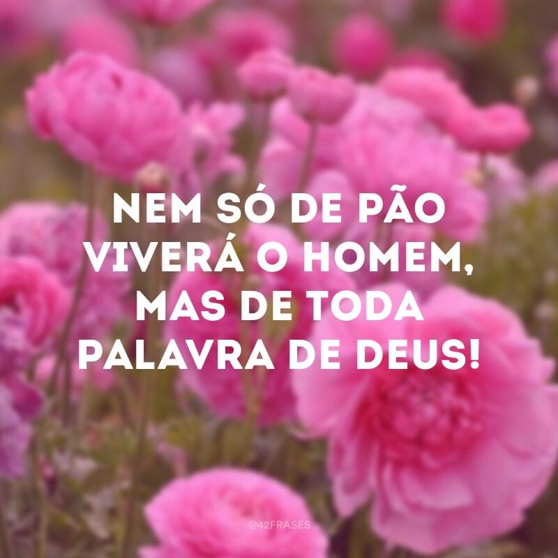 Nem só de pão viverá o homem, mas de toda palavra de Deus! 