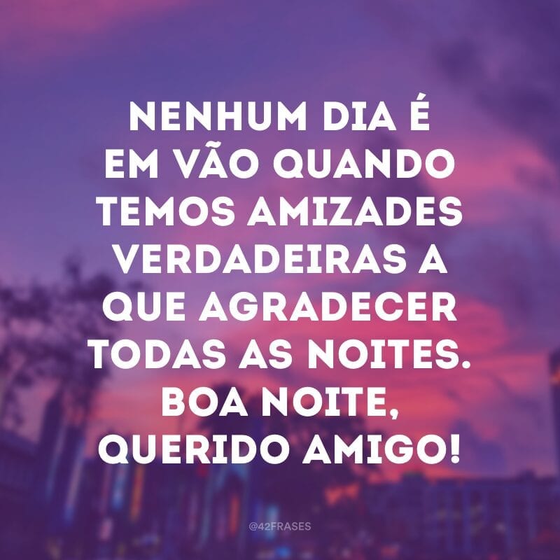 Nenhum dia é em vão quando temos amizades verdadeiras a que agradecer todas as noites. Boa noite, querido amigo!