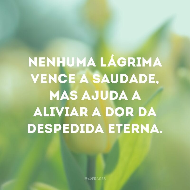 Nenhuma lágrima vence a saudade, mas ajuda a aliviar a dor da despedida eterna.