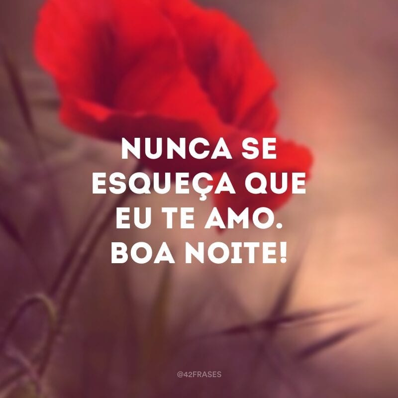 Nunca se esqueça que eu te amo. Boa noite!