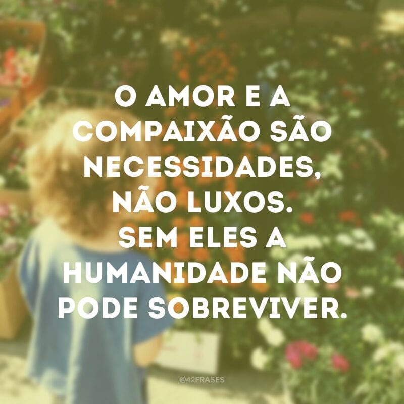 O amor e a compaixão são necessidades, não luxos. Sem eles a humanidade não pode sobreviver.