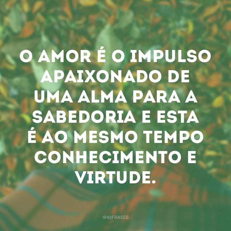 O amor é o impulso apaixonado de uma alma para a sabedoria e esta é ao mesmo tempo conhecimento e virtude.