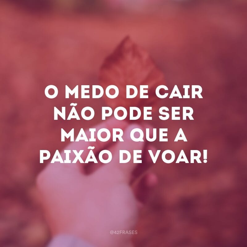 O medo de cair não pode ser maior que a paixão de voar!