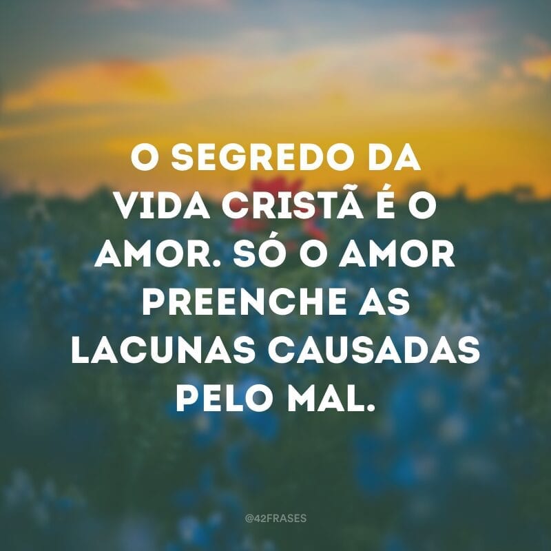 O segredo da vida cristã é o amor. Só o amor preenche as lacunas causadas pelo mal.