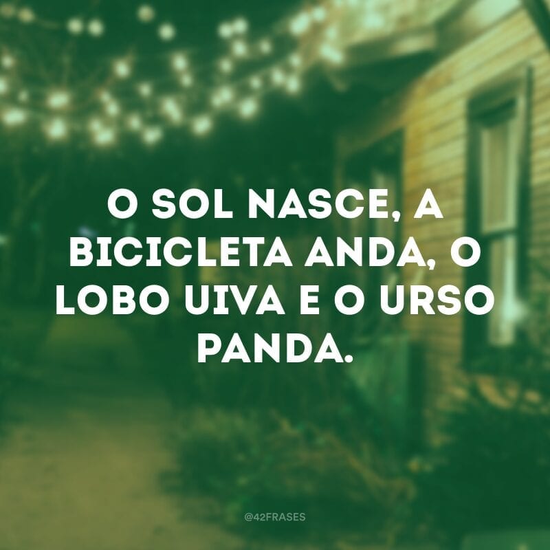 O sol nasce, a bicicleta anda, o lobo uiva e o urso panda.