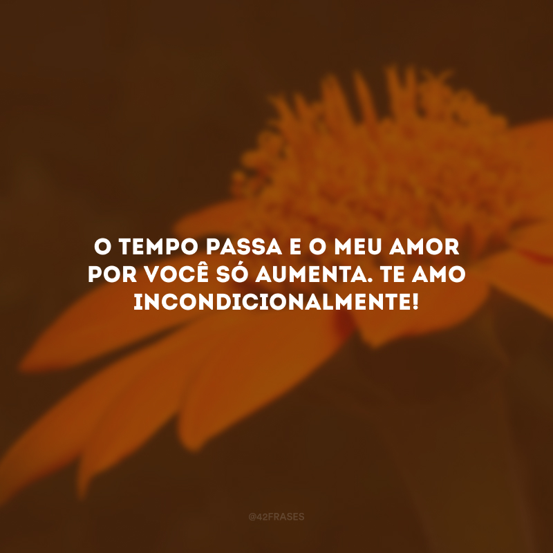 O tempo passa e o meu amor por você só aumenta. Te amo incondicionalmente!