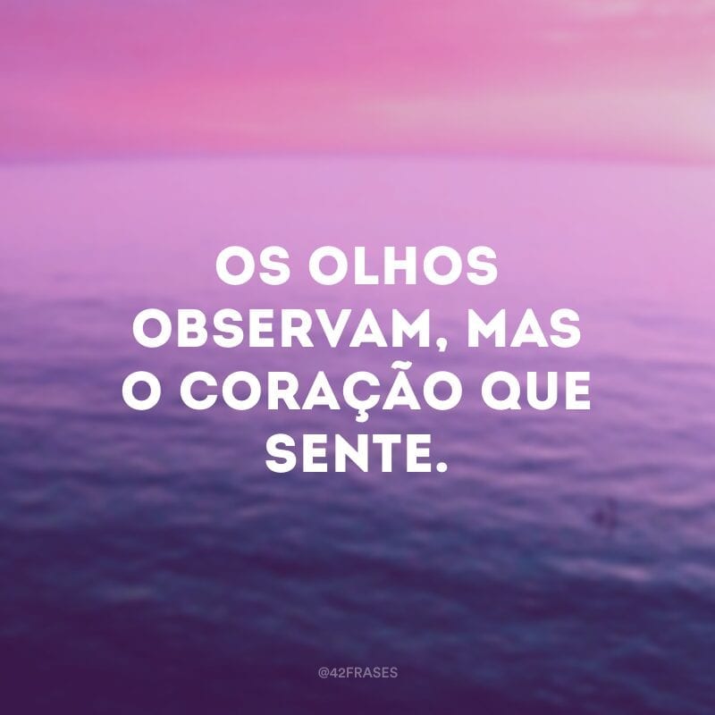 Os olhos observam, mas o coração que sente.