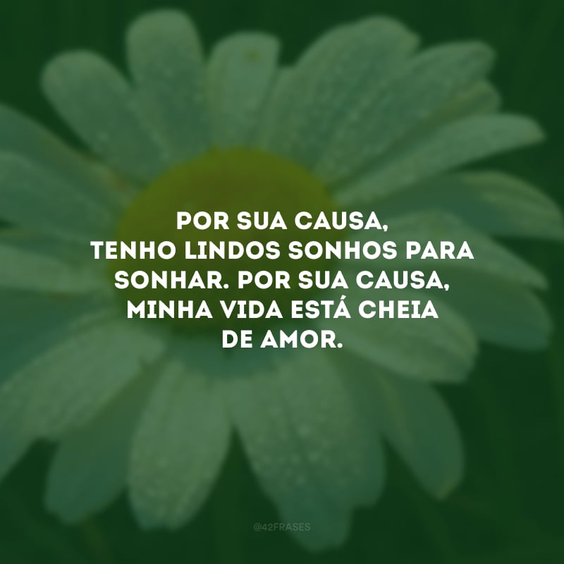 Por sua causa, tenho lindos sonhos para sonhar. Por sua causa, minha vida está cheia de amor.