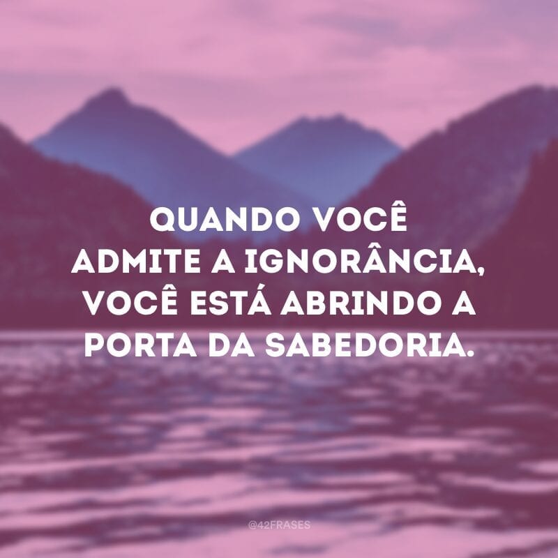 Quando você admite a ignorância, você está abrindo a porta da sabedoria.