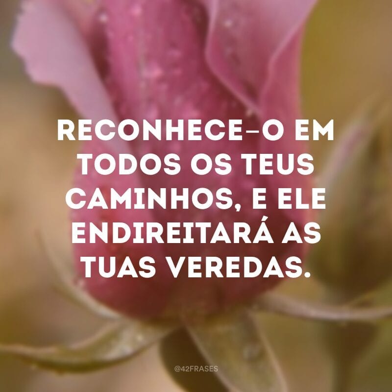 Reconhece-o em todos os teus caminhos, e ele endireitará as tuas veredas.