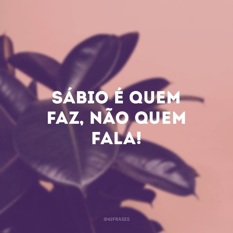 Sábio é quem faz, não quem fala!