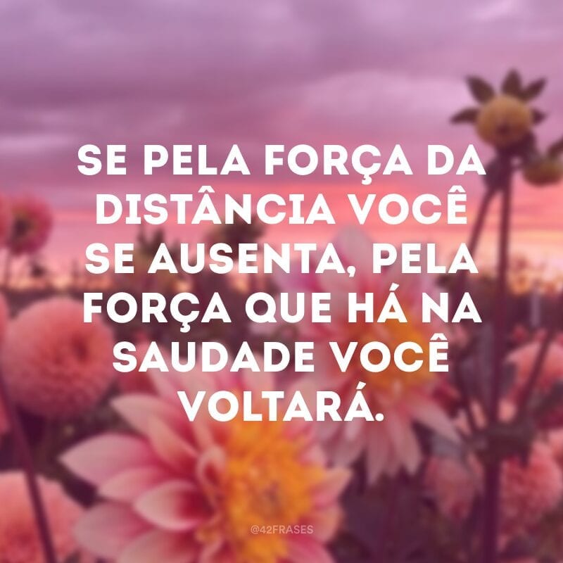 Se pela força da distância você se ausenta, pela força que há na saudade você voltará.