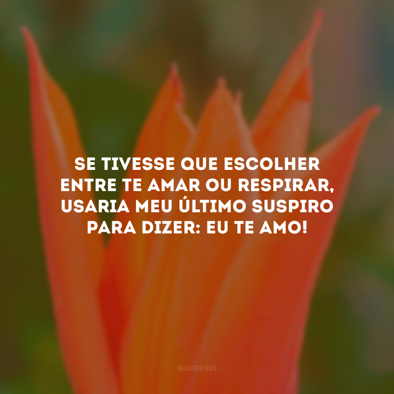 Se tivesse que escolher entre te amar ou respirar, usaria meu último suspiro para dizer: eu te amo!
