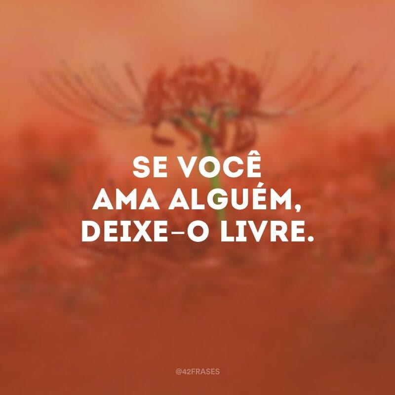 Se você ama alguém, deixe-o livre.