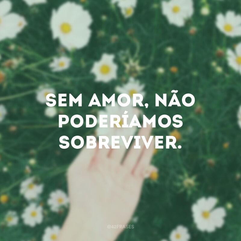 Sem amor, não poderíamos sobreviver. Os seres humanos são criaturas sociais, e sentir-se valorizado pelos outros é a própria base da vida em comunidade.