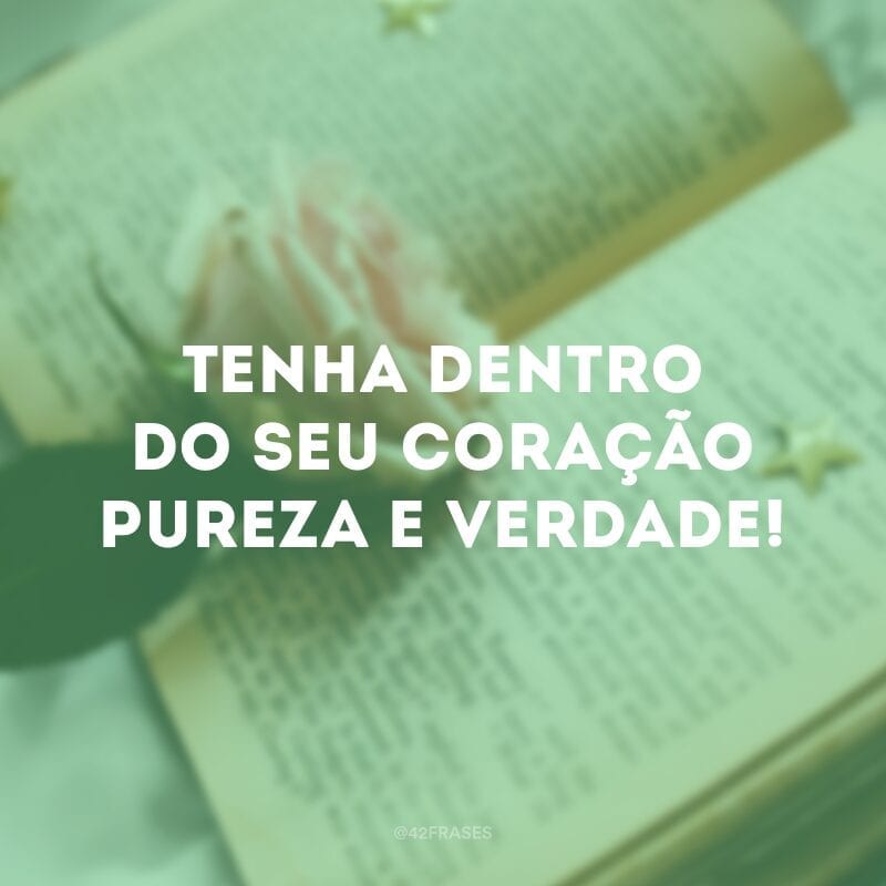 Tenha dentro do seu coração pureza e verdade! 