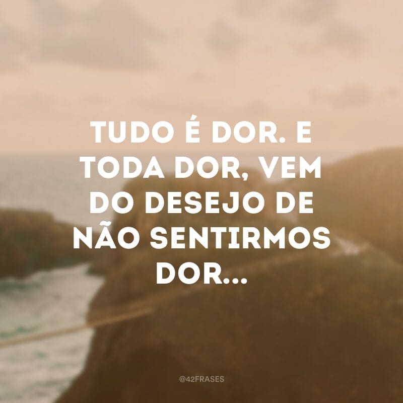 Até bem pouco tempo atrás poderíamos mudar o mundo. Quem roubou nossa coragem? Tudo é dor. E toda dor, vem do desejo de não sentirmos dor... 